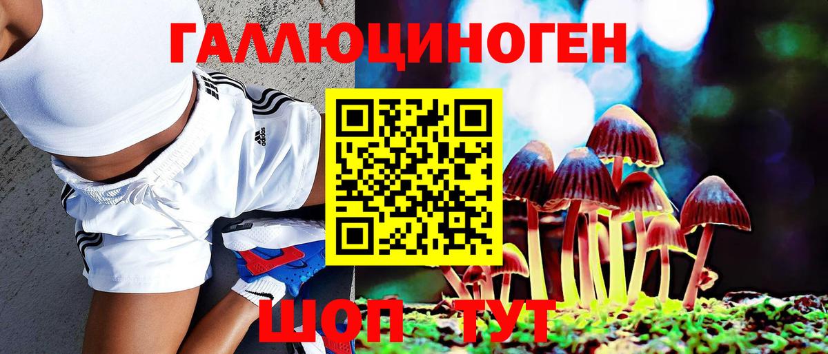 Пермь  Псилоцибиновые грибы GOLDEN TEACHER  Псилоцибиновые грибы MAGIC MUSHROOMS  Вход с VPN 